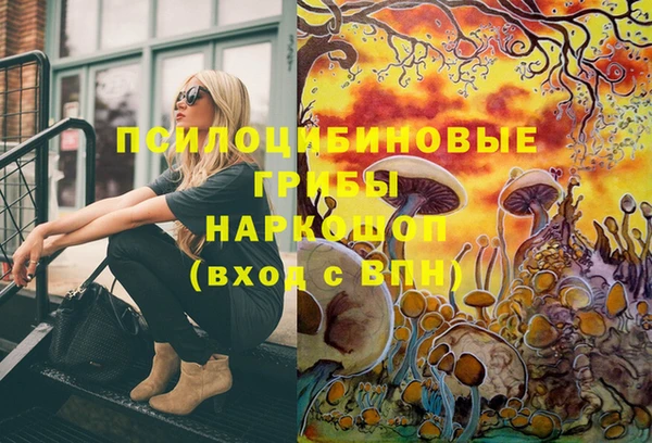 круглые Армянск