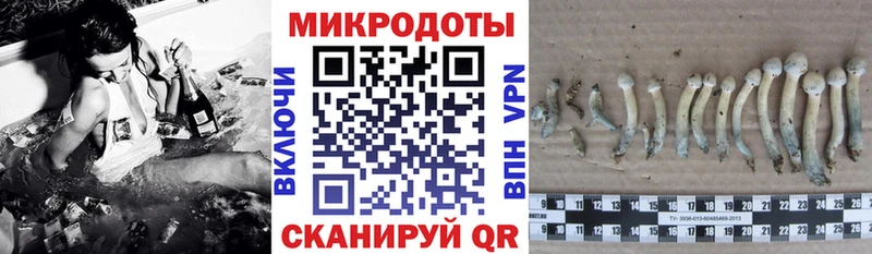маркетплейс какой сайт  цена наркотик  Покров  Псилоцибиновые грибы Cubensis  ОМГ ОМГ маркетплейс 